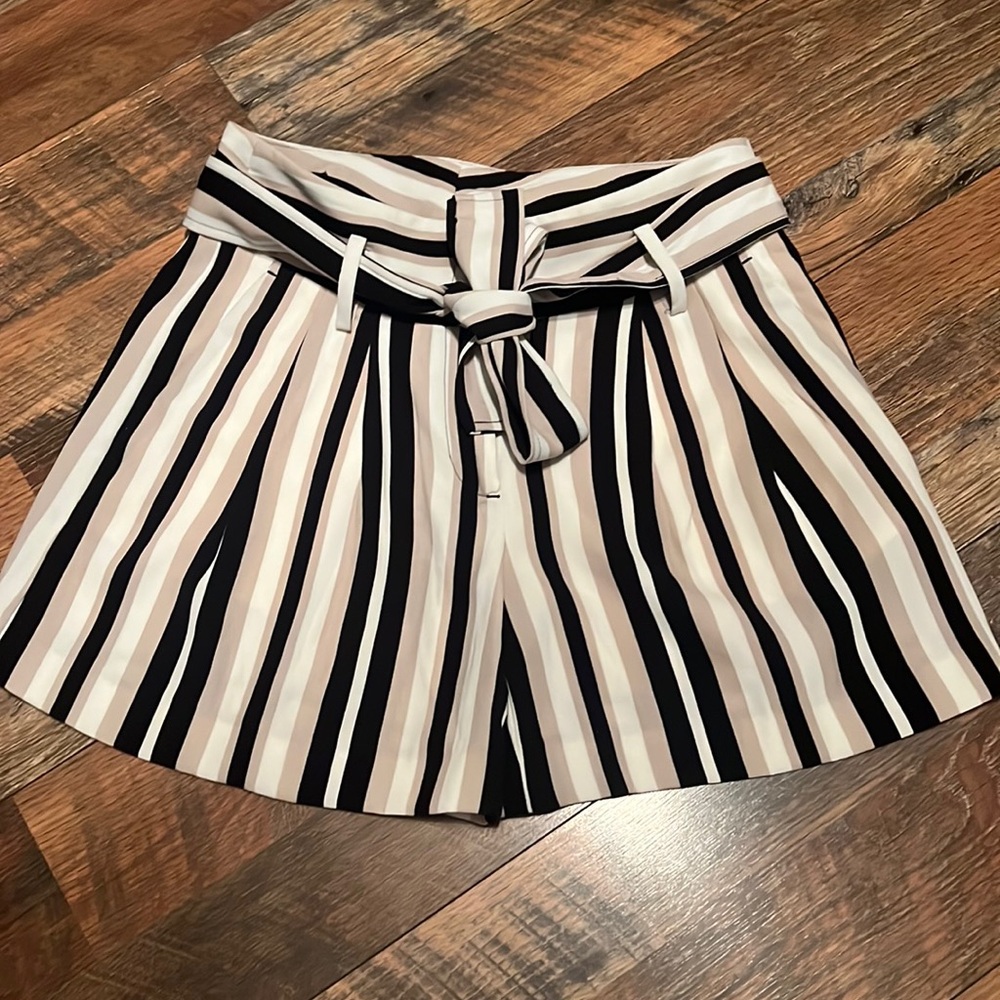 Ann Taylor Striped Shorts